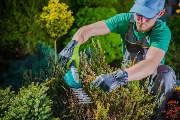 landscaping services Williston Park